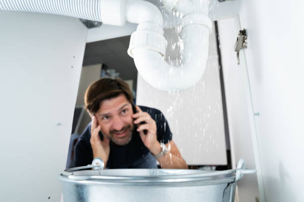 Best Leak Detection Services  in Dewitt, AR