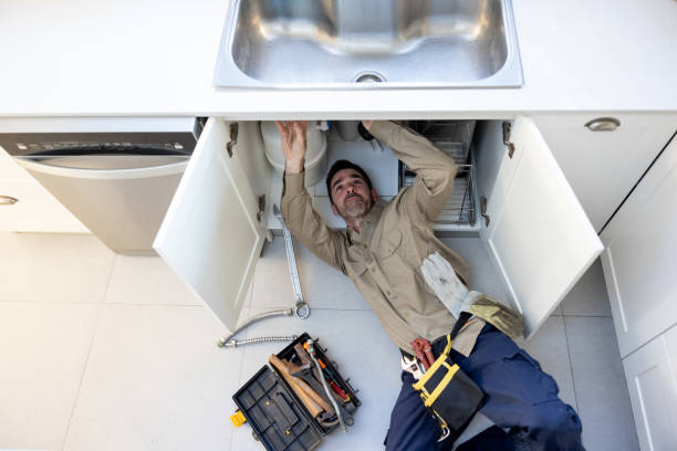 Best Local Plumber Services  in Dewitt, AR