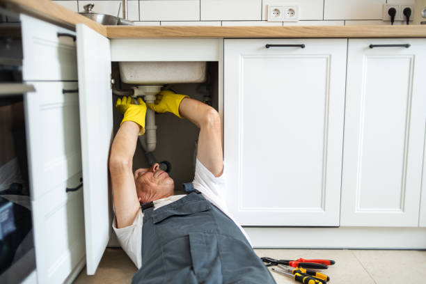 Best Residential Plumbing Services  in Dewitt, AR